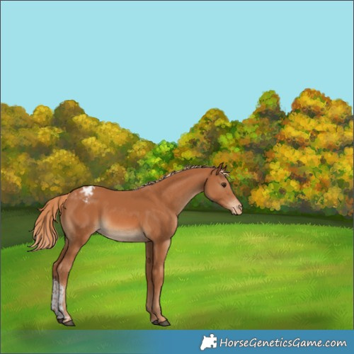 Horse Color:Chestnut Tobiano Varnish 