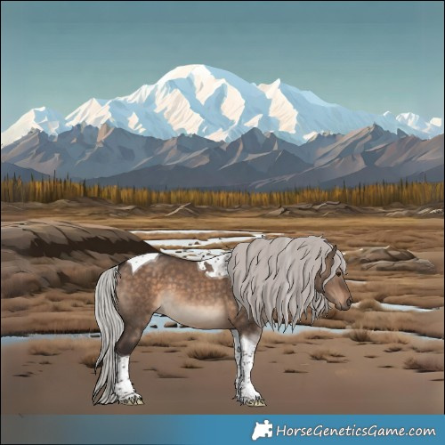 Horse Color:Silver Brown Dun Tobiano 