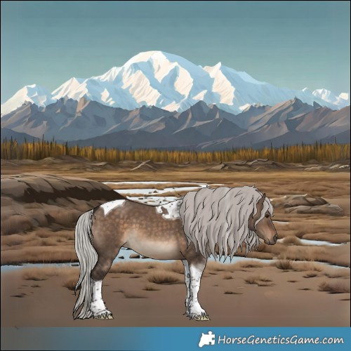 Horse Color:Silver Brown Dun Tobiano 