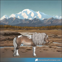 Horse Color:Silver Brown Dun Tobiano 