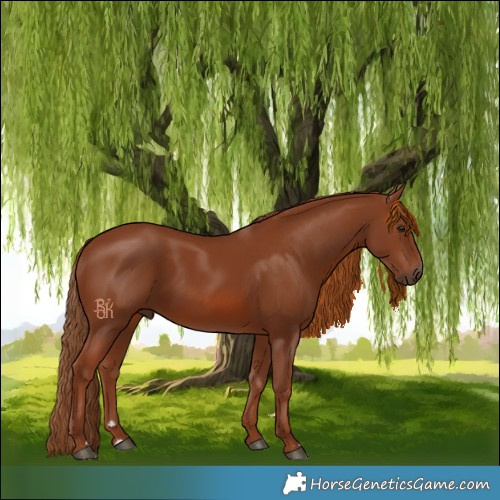 Horse Color:Chestnut 