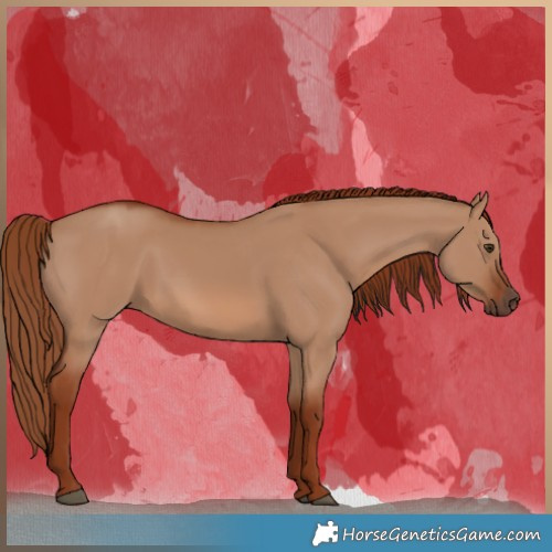 Horse Color:Red Dun 