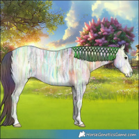 Horse Color:Nacre Plaid  Buckskin Ice Onyx 