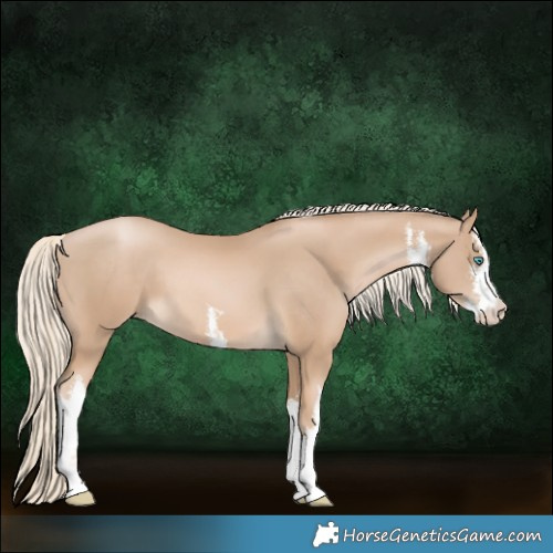 Horse Color:White Spotted Chocolate Palomino Pearl