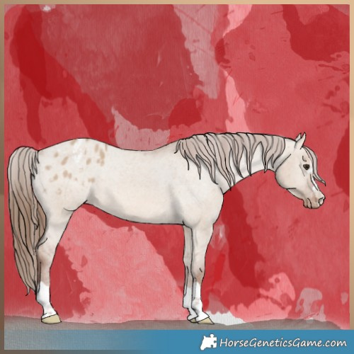 Horse Color:Red Dun Varnish 