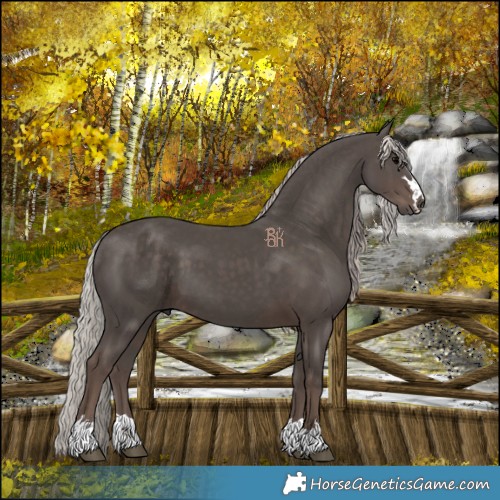 Horse Color:Silver Black 