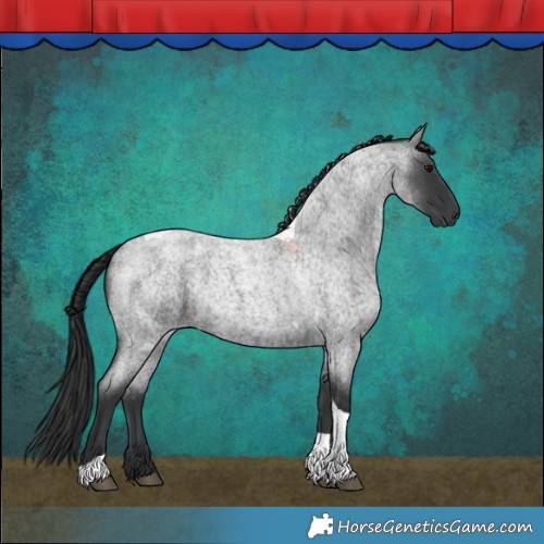 Horse Color:Blue Roan Tobiano Rabicano
