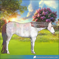 Horse Color:Nacre White Spotted Classic Champagne Ice 