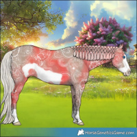 Horse Color:Silver Grullo Ice Frame 