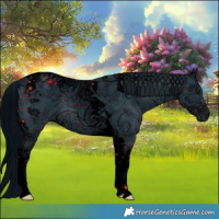 Horse Color:ERROR: UNKNOWN ANOMALY