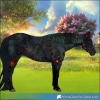Horse Color:ERROR: UNKNOWN ANOMALY
