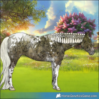 Horse Color:Silver Classic Champagne Ice Dun Tobiano 