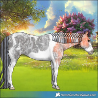 Horse Color:Painted Black Ice Tobiano Frame 