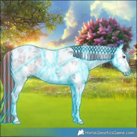 Horse Color:Painted Thunderstruck White Spotted Smoky Grullo Chinchilla Ice Tobiano Frame 