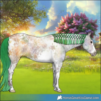 Horse Color:Painted Nacre Grullo Ice Tobiano Frame 