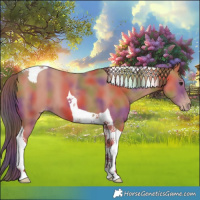 Horse Color:Nacre Classic Champagne Tobiano 