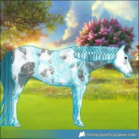 Horse Color:Painted Thunderstruck Black Ice Splash Tobiano 