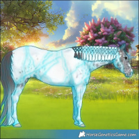 Horse Color:Thunderstruck Smoky Black Ice Tobiano Blanket 