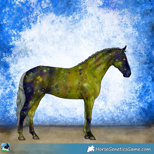 Horse Color:ERROR: UNKNOWN ANOMALY