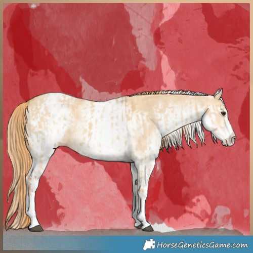 Horse Color:White Spotted Red Dun Rabicano  and White Spotted Gold Champagne Dun Rabicano 