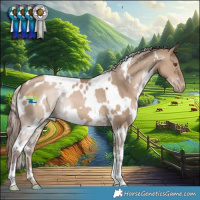 Horse Color:White Spotted Grullo Pearl 