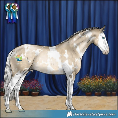 Horse Color:White Spotted Silver Black Snowdrop Pearl Splash Rabicano 