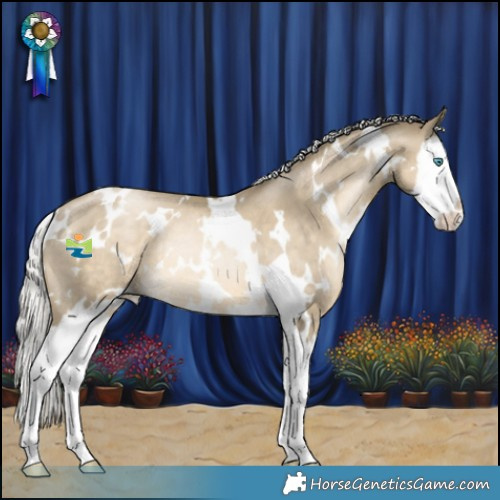 Horse Color:White Spotted Silver Black Snowdrop Pearl Splash Rabicano 