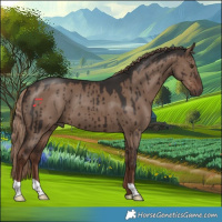 Horse Color:Liver Red Dun Brindle 
