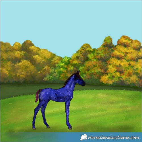 Horse Color:ERROR: UNKNOWN ANOMALY