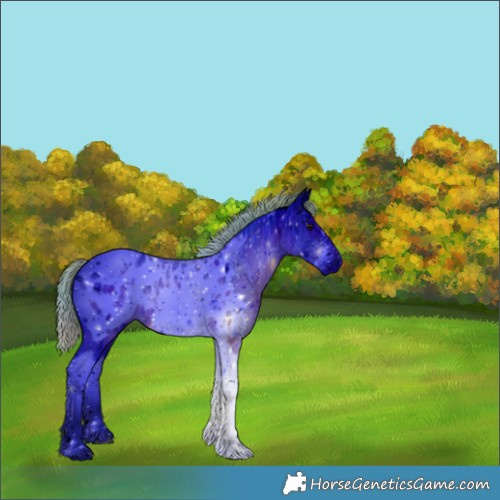 Horse Color:ERROR: UNKNOWN ANOMALY