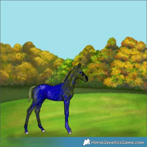 Horse Color:ERROR: UNKNOWN ANOMALY