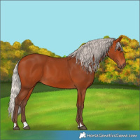 Horse Color:Silver Bay 