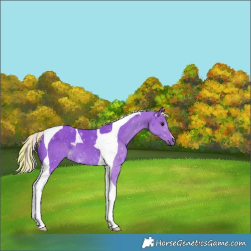 Horse Color:Painted Watercolor Silver Black Tobiano 