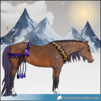 Horse Color:Painted Bay 