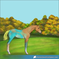 Horse Color:Painted Palomino 