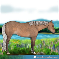 Horse Color:Silver Brown Dun