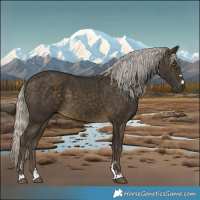 Horse Color:Silver Buckskin
