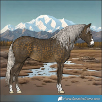 Horse Color:Silver Buckskin and Silver Buckskin