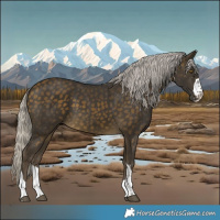 Horse Color:Silver Buckskin 
