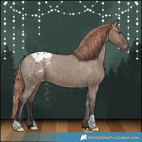 Horse Color:Liver Red Dun Appaloosa Brindle 