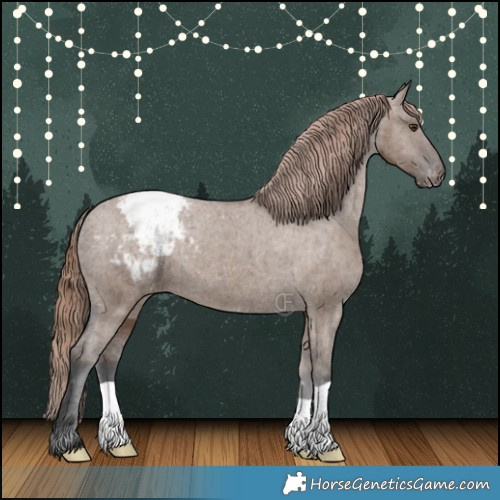 Horse Color:Liver Red Dun Appaloosa Brindle 