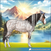 Horse Color:Bay Roan Snowflake Varnish 