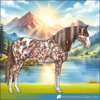 Horse Color:Chestnut Blanket  and Chestnut Snowflake Varnish 