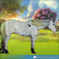 Horse Color:ERROR: UNKNOWN ANOMALY