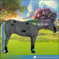 Horse Color:ERROR: UNKNOWN ANOMALY
