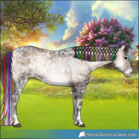 Horse Color:Painted White Spotted Bay Ice Onyx Tobiano 