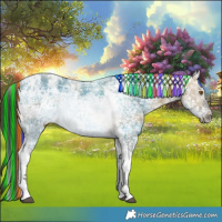 Horse Color:Painted Buckskin Ice Dun Tobiano 