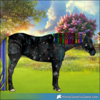 Horse Color:ERROR: UNKNOWN ANOMALY
