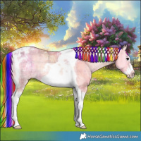 Horse Color:Painted Plaid  Chocolate Bay Ice Onyx Tobiano Frame 