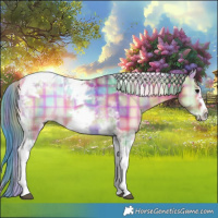 Horse Color:Nacre Plaid  Bay Onyx Tobiano Frame 
